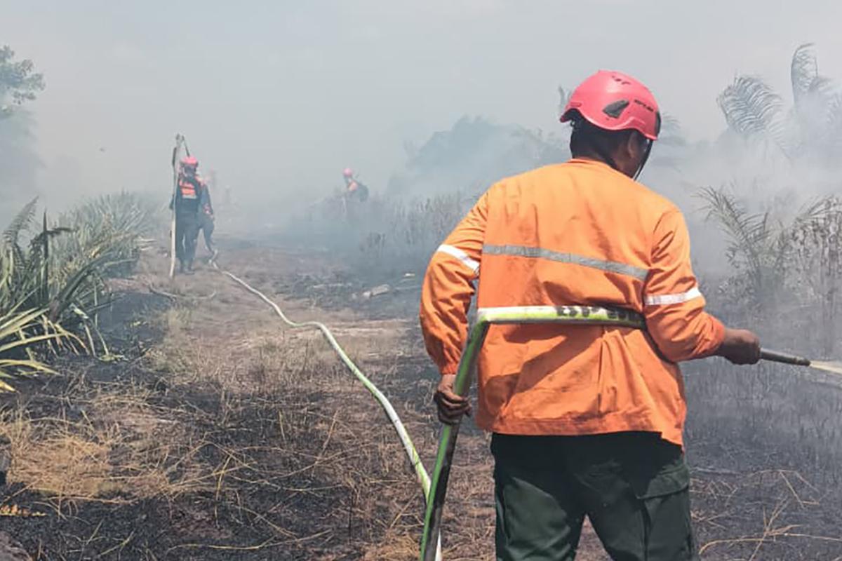 Kemarau Datang Lebih Cepat, BPBD Kayong Utara Petakan 3 Kecamatan Paling Rawan Karhutla! - Tribunpontianak.co.id