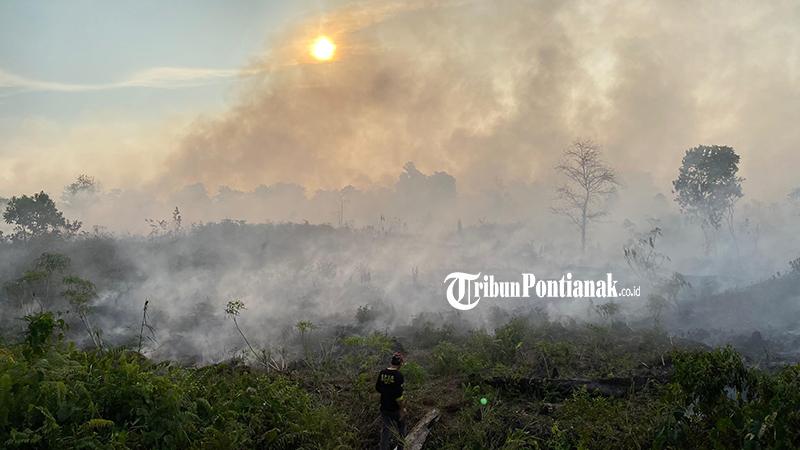 BPBD Sebut Total Luas Kebakaran Hutan Singkawang Capai 242 Hektare