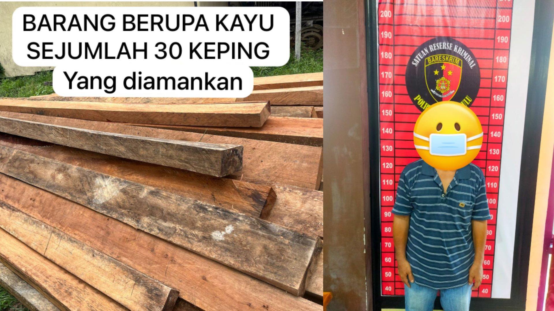 Penebangan Hutan Ilegal di Kapuas Hulu, Polisi Amankan Barang Bukti dan Tetapkan Satu Tersangka