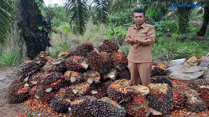 Kepala-Dinas-Perkebunan-dan-Peternakan-Provinsi-Kalbar-Muhammad-Munsif43dfvc.jpg
