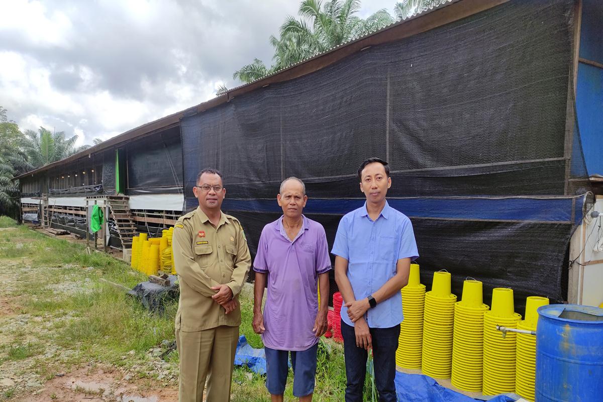 Disbunnak Sanggau Pastikan Peternak Lokal Mampu Suplai Daging Ayam Untuk Kebutuhan MBG
