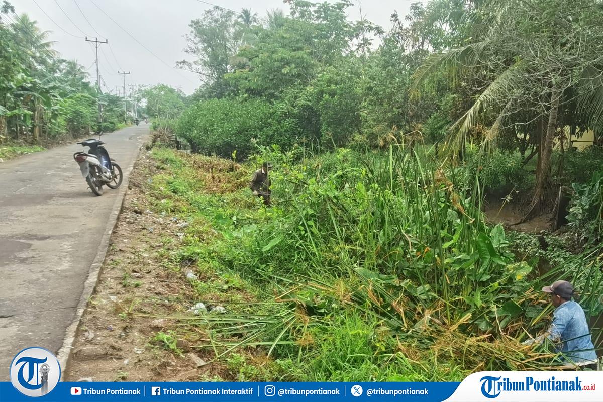 Tak Lagi Diperhatikan Bandara Supadio, Kini Parit Sumber Air Warga Kuala Dua Kubu Raya Semak - Tribunpontianak.co.id