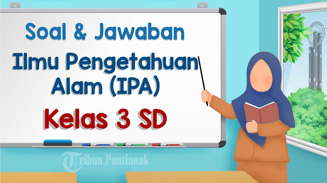 Kumpulan-soal-IPA-Kelas-3-SDMI-terbaru-kurikulum-merdeka-lengkap-kunci-jawaban.jpg