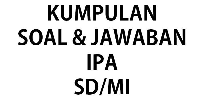 Kumpulan-soal-dan-kunci-jawaban-IPA-kelas-1-SDMI.jpg