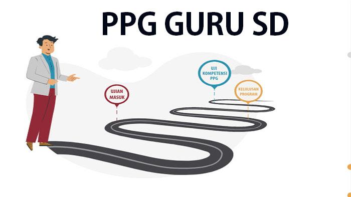 Kumpulan-soal-tes-seleksi-PPG-Guru-PGSD-terbaru-tahun-2023-2024.jpg
