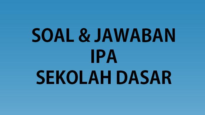 30 Soal IPA Kelas 5 Ulangan/Ujian Sumatif Semester 1 Kurikulum Merdeka 2023 Lengkap Kunci Jawaban