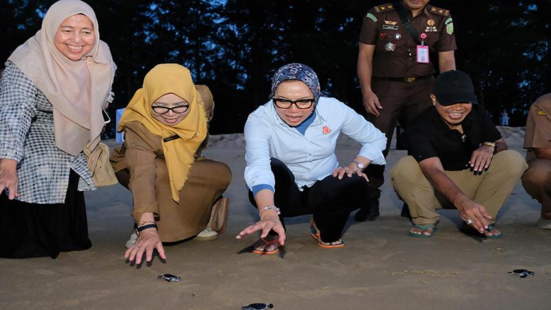 Ahelya Terpesona Indahnya Temajuk, Terkesan Melepas Tukik di Pantai Tanjung Api