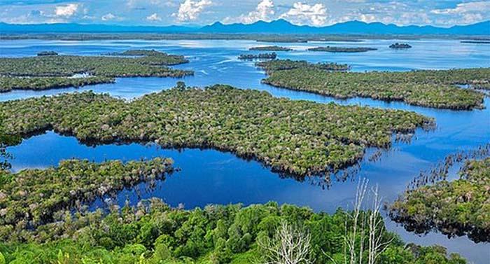 LIMA Pesona Baru Danau Sentarum Kapuas Hulu yang Tak Diketahui Banyak Orang