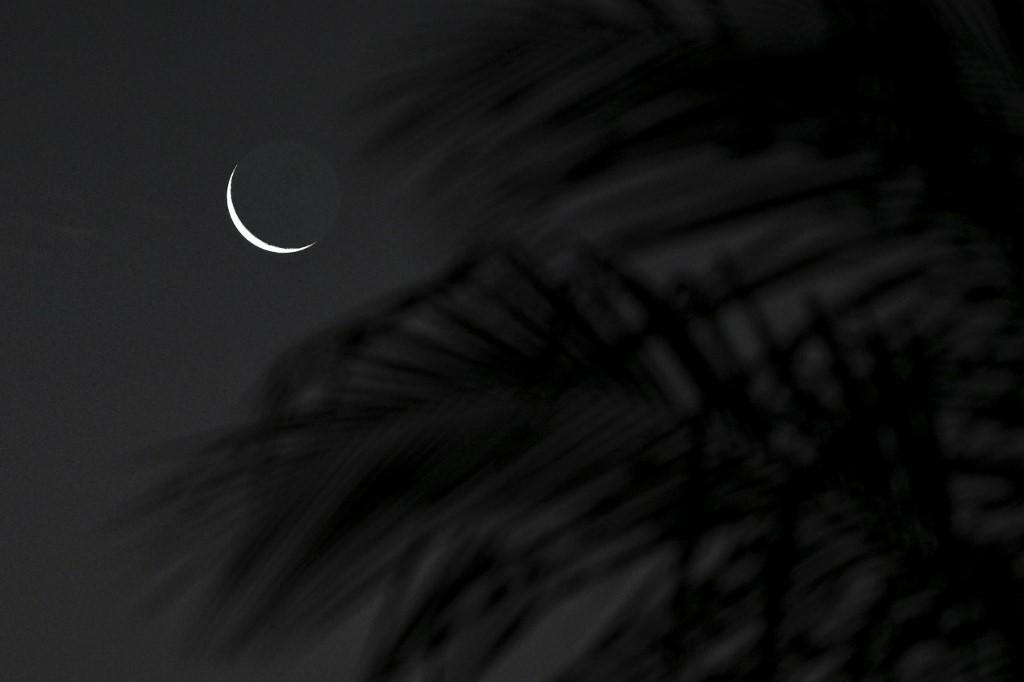 Muhammadiyah Puasa Tanggal Berapa ? Hari Lebaran Idul Fitri 2023 Tahun Ini Juga Sudah Ditetapkan