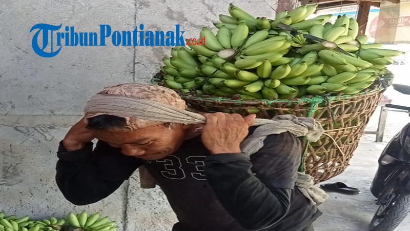 Muslianto-petani-pisang-asal-Desa-Sedahan-Kayong-Utara.jpg