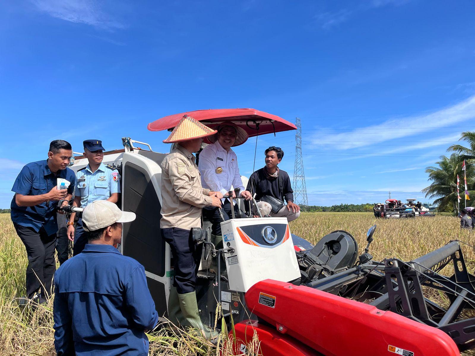 Tanam Padi di Desa Mensere, Gubernur Ria Norsan Bakal Tambah Burung Hantu Basmi Hama Tikus di Sambas