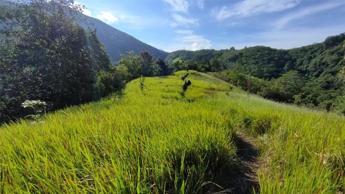 Nama-nama-Bukit-di-Landak-Kalbar-Terbaru-2026-Lengkap-Jalu-dan-Rute-Pendakian.jpg