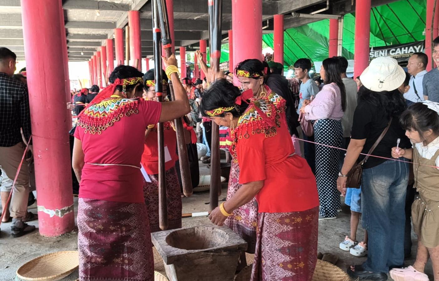 Keseruan Numbuk Padi di Gawai Dayak Nosu Minu XXII Sanggau, Ajang Lestarikan Tradisi Masyarakat - Tribunpontianak.co.id