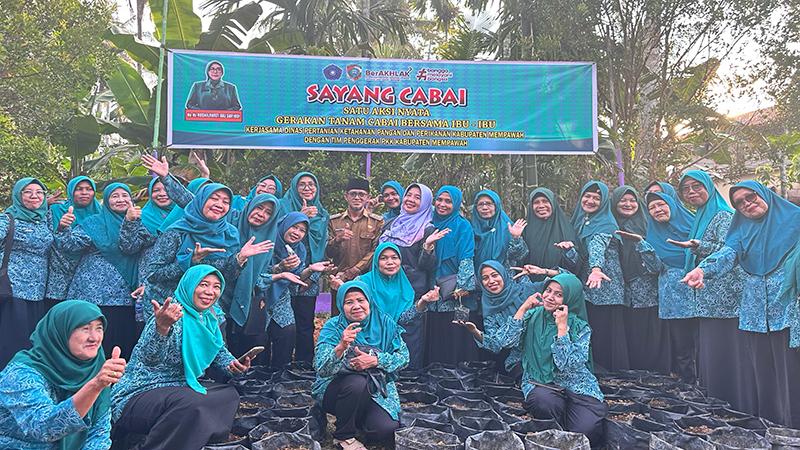 TP PKK Mempawah Gelar Aksi Sayang Cabai, Dukung Asta Cita Presiden Prabowo