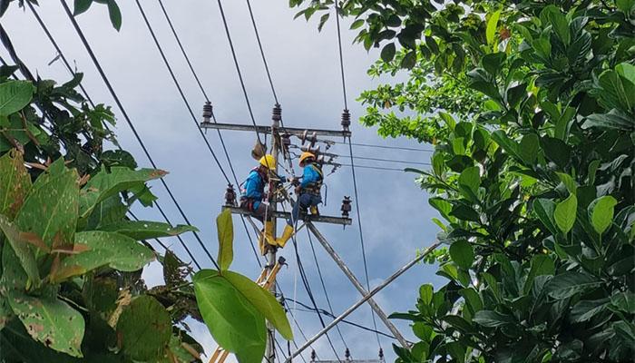 PLN-UP3-Pontianak-terus-melakukan-berbagai-upaya-perbaikan-dan-pemeliharaan-jaringan-listrik.jpg