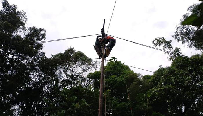 Minimalisir Gangguan Listrik, PLN UP3 Singkawang Rutin Lakukan Pemeliharaan Jaringan Listrik