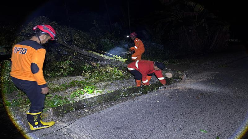 Dampak Hujan Deras Disertai Angin Kencang, Sejumlah Wilayah Terdampak Banjir dan Longsor