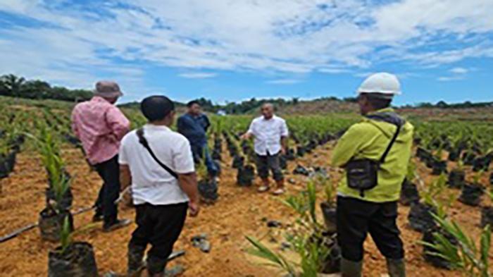 Kenalkan Anak Muda Industri Kelapa Sawit melalui Program PTPN IV Regional V Goes to School