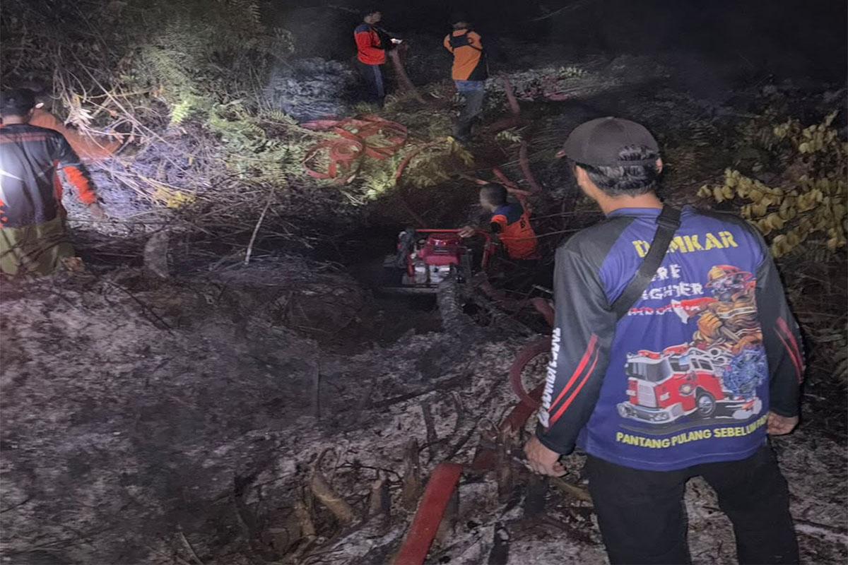 Lahan Pertanian Terbakar di Putussibau, BPBD Minta Warga Koordinasi Sebelum Membakar - Tribunpontianak.co.id