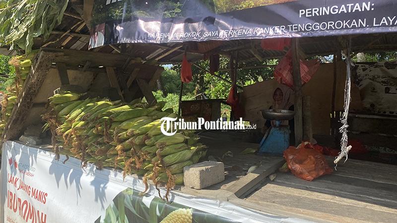 Pedagang-jagung-Romlah-35-di-kawasan-jalan32r42.jpg