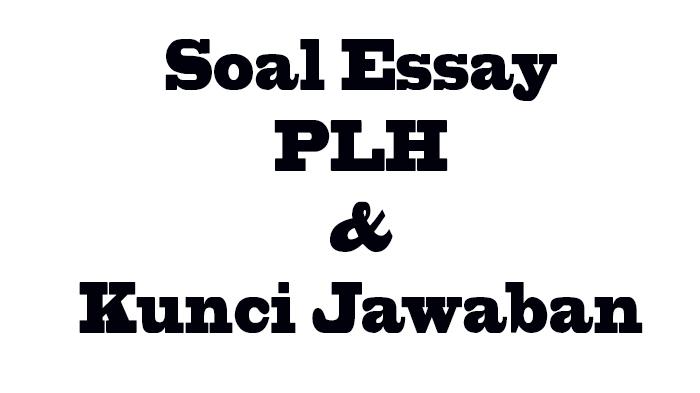 Pelajaran-soal-essay-pada-pelajaran-Pendidikan-Lingkungan-Hidup-kelas-3.jpg