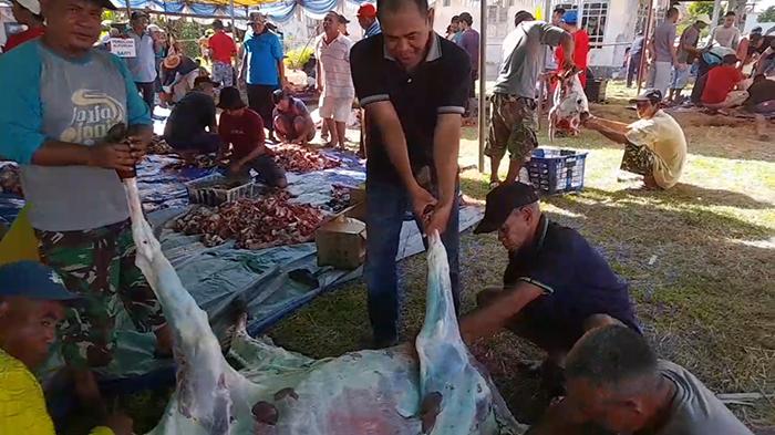 Desa Kinjil Pesisir Ketapang Kurban 28 Ekor Sapi, Dibeli Dari Hasil Arisan Warga Desa