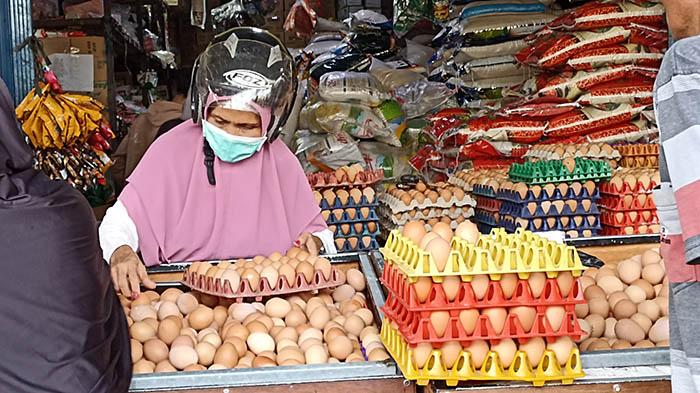 Konsumsi Telur di Kalbar Mencapai 21 Kg per Kapita per Tahun