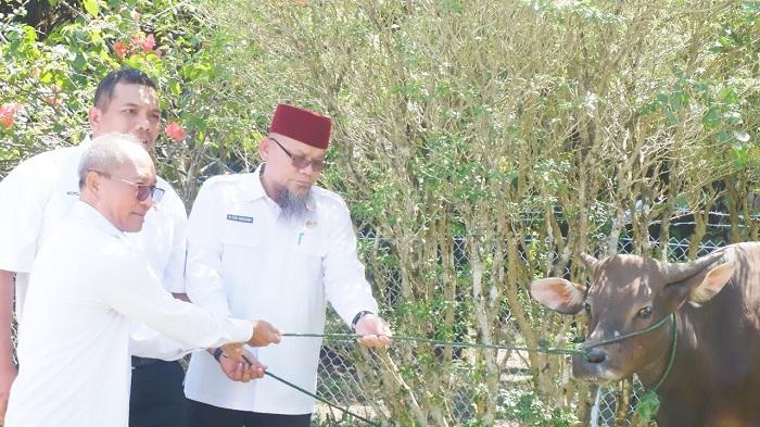 Minamas Plantation Donasikan 162 Hewan Kurban pada Masyarakat Sekitar Wilayah Operasional