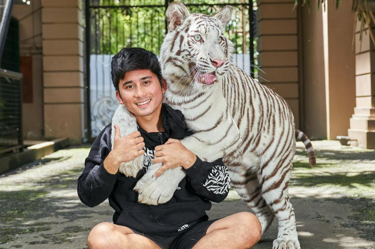 Terkuak Isi Perjanjian Nikah Alshad Ahmad dan Nissa Asyifa, hingga Fakta Adanya Nikah Siri