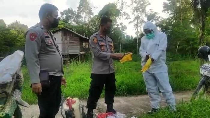 Personel Polsek Nanga Pinoh Lakukan Penyemprotan Kandang Hewan Ternak Warga di Desa Kelakik