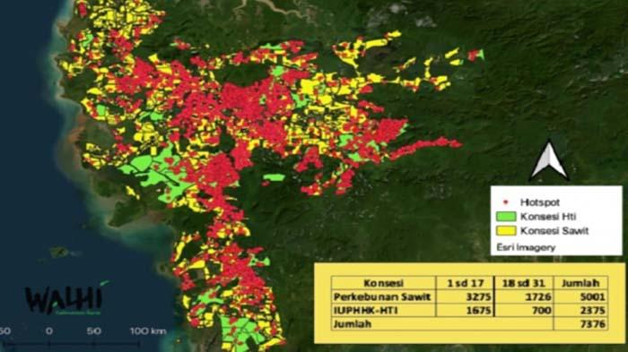 Walhi Sebut Ada 7.376 Hotspot Terpantau Pada 235 Konsesi Sawit dan HTI di Kalbar