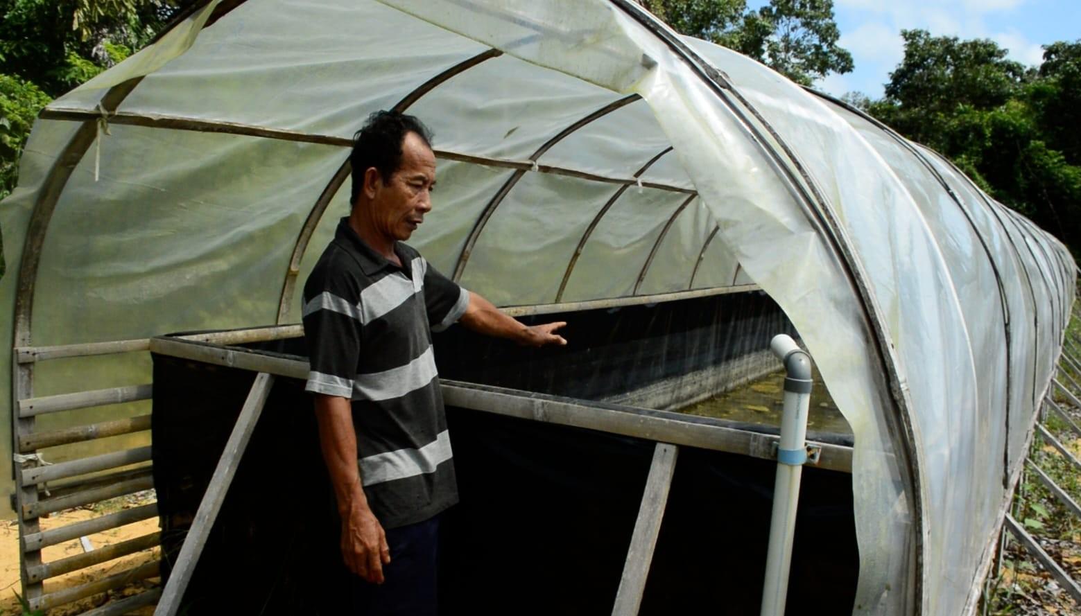 Petani-Sebubus.jpg
