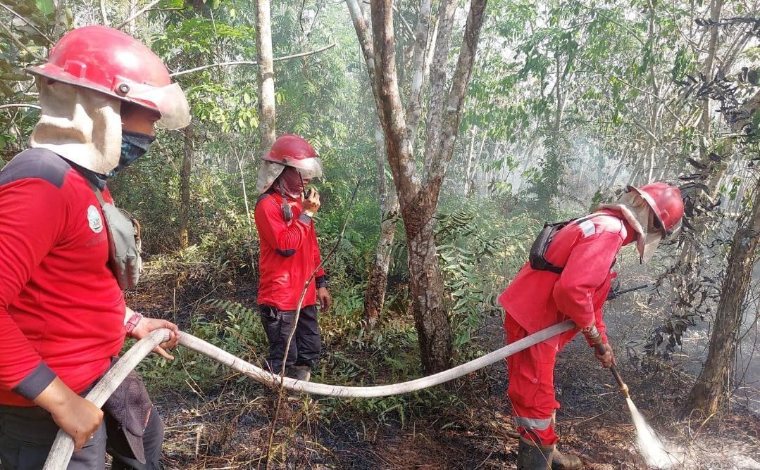 Petugas-unsur-pemadam-kebakaran-hutan-dan-lahan-berjibaku.jpg