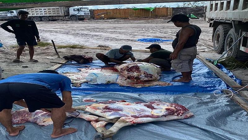 Tanggung Jawab Sosial, PT SJM Salurkan Daging Kurban ke Masyarakat