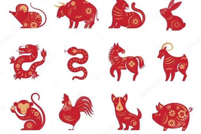 Shio Besok Sabtu 27 Mei 2023, Tidak Ada yang Sempurna Shio Babi, Shio Ular Tidak Perlu Rendah Diri