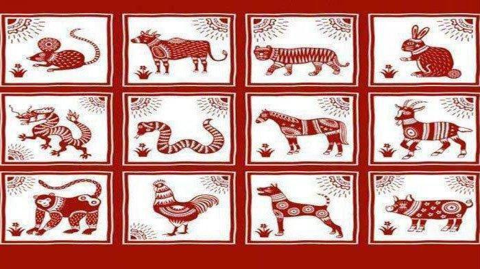 Shio Besok Selasa 19 Juli 2022, Shio Tikus Tuai Hasil Keuangan & Shio Kerbau Hadapi Rintangan?