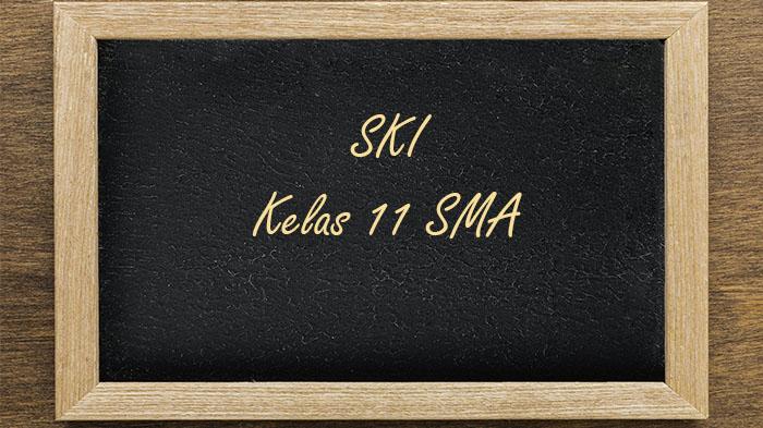 SKI-Kelas-11-SMA-Semester-1-Kurikulum-Merdeka.jpg