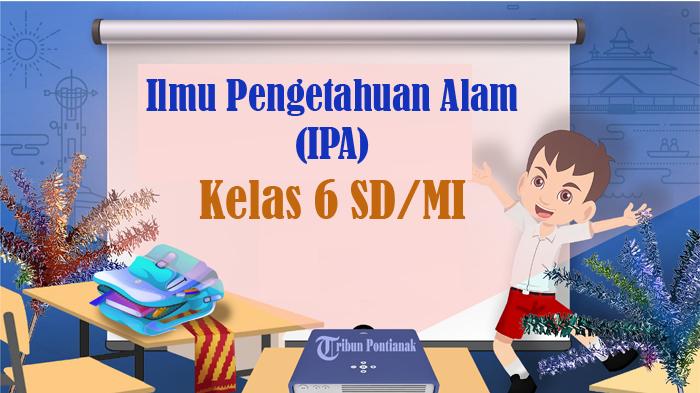 SOAL-Ujian-IPA-Kelas-6-SD-Semester-2-Kunci-Jawaban-Latihan-Sumatif-SAJ-ASS-USBN-UAS-2024.jpg