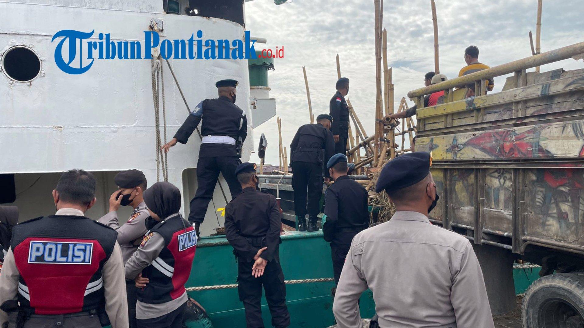 Satgas Pencegahan Ops Aman Nusa Polda Kalbar & Tim Karantina Kalbar Lakukan Pengawasan Hewan Ternak