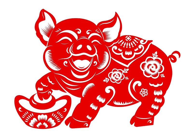 Waduh! 3 Shio Ini Terkenal Suka Bermalas-malasan Tapi Hoki, Termasuk Shio Babi