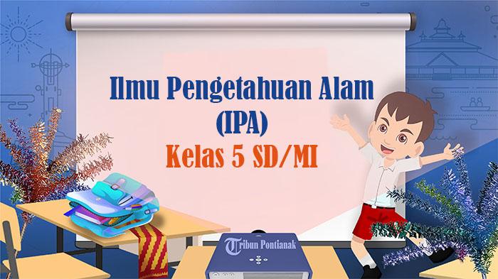 Soal-IPA-kelas-5-SD-Semester-2-Kurikulum-Merdeka.jpg