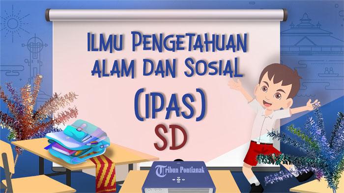 SOAL PTS IPA Kelas 5 SD Semester 1 Tahun 2023, Kunci Jawaban Latihan STS Pilihan Ganda