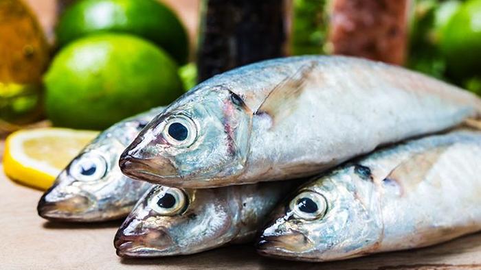Suka-Makan-Ikan-Laut-atau-Air-Tawar-Bandingkan-Kelebihan-dan-Kekurangannya-Bagi-Kesehatan-Tubuh.jpg