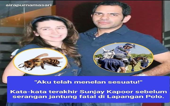 Sunjay-Kapoor-meninggal-akibat-serangan-lebah.jpg
