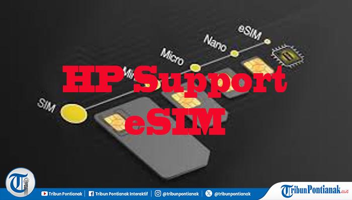 Support-eSIM-fgvbn.jpg