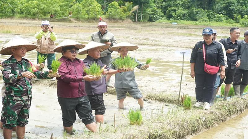 Pesan Bupati Bala untuk Petani di Sintang: Jangan Jual Tanah, Olah Agar Produktif