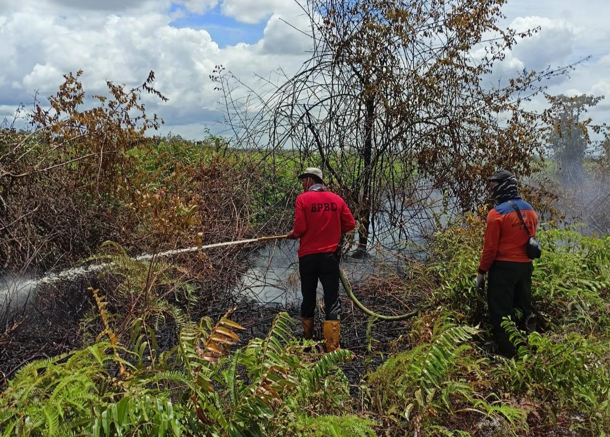 BPBD Mempawah Pastikan Karhutla di Desa Pasir Relatif Aman