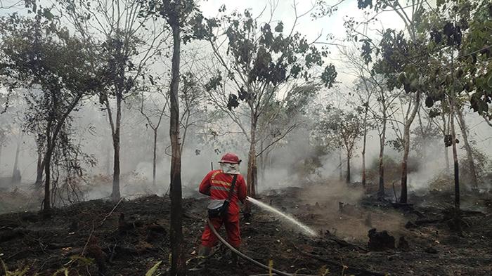 Tim-pemadam-api-karhutla-saat-berjibaku-di-234red.jpg