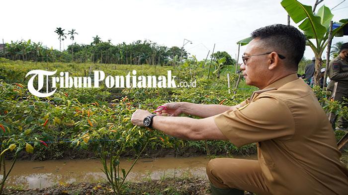 KTP Digital Mulai Diterapkan, Wali Kota Pontianak : Lebih Simple dan Multi Fungsi