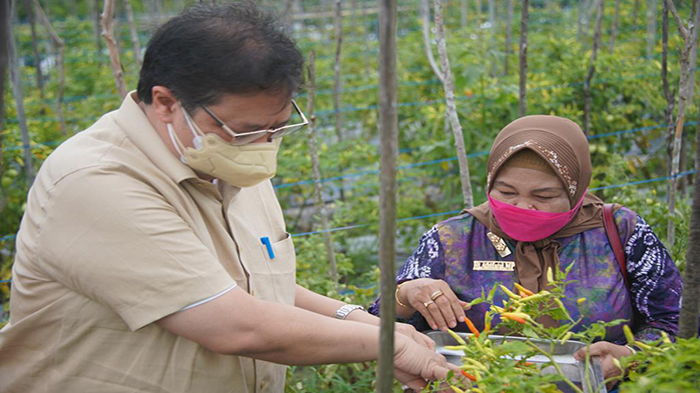 airlangga-juga-ikut-memanen-hasil-pertanian-1.jpg